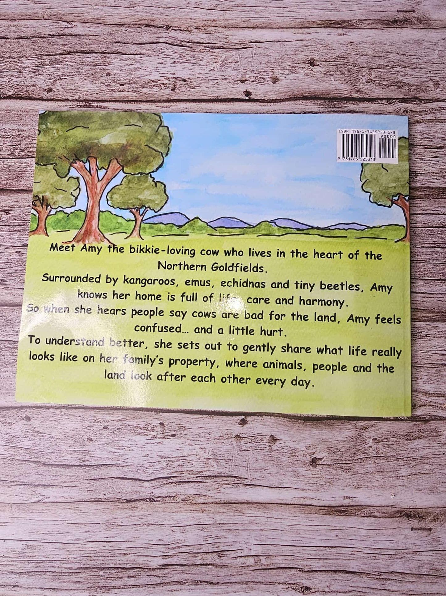 Amy's Walk For The Truth